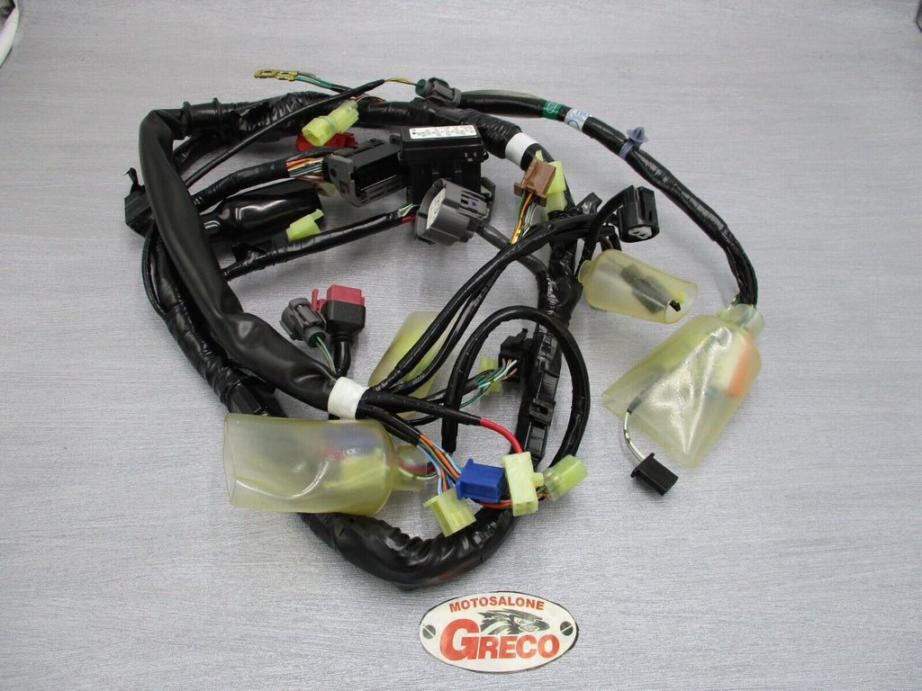 CABLAGGIO HONDA CB 1300 2003 (32100-MEJ-641)